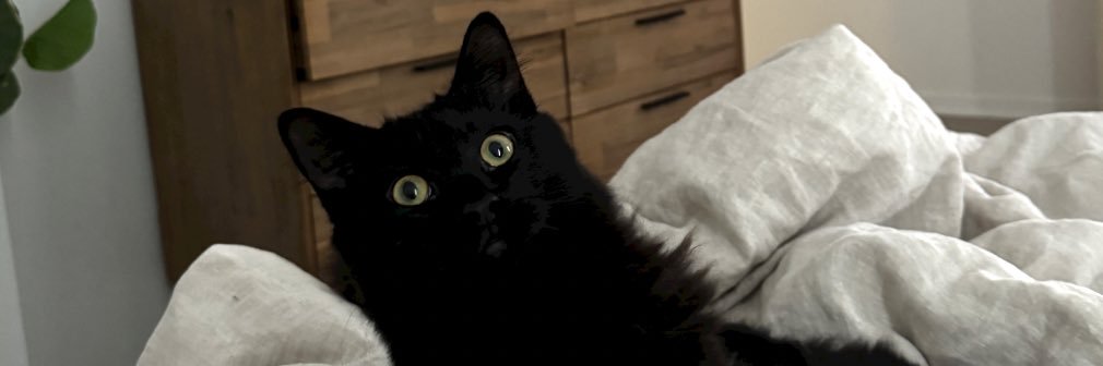 Elizabeth Zaks banner