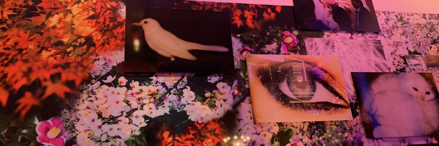 meichasoom's profile banner image