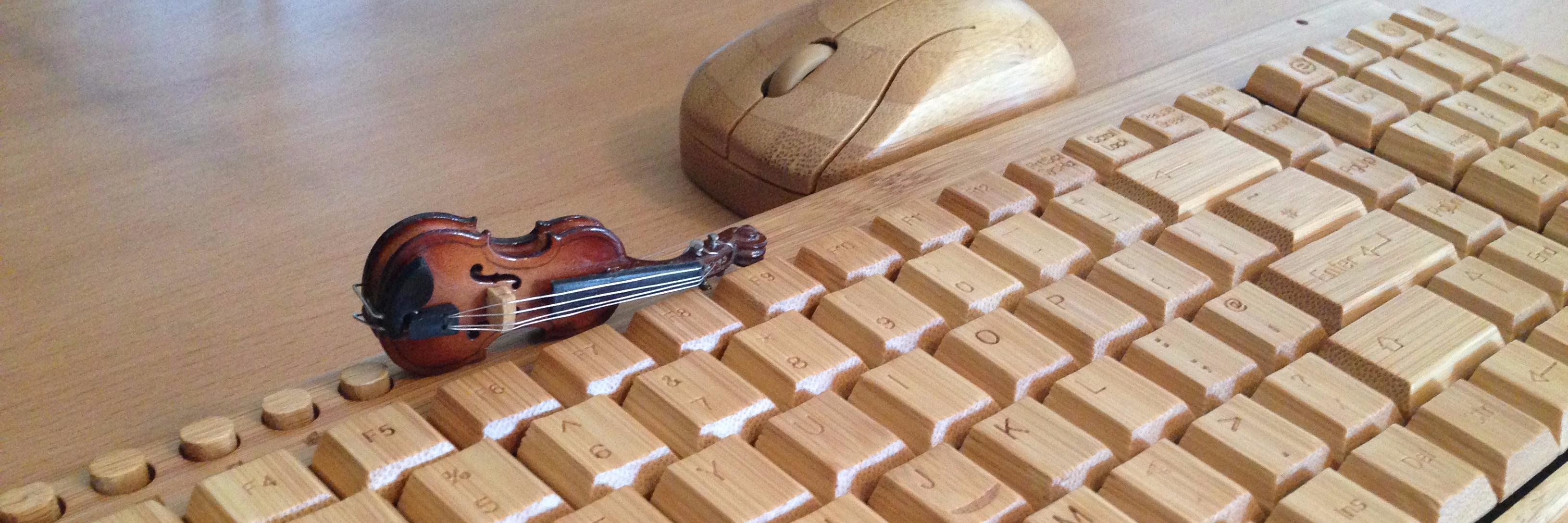 LisaUedaViolin's profile banner image