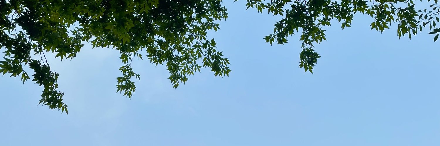 superlative5320's profile banner image