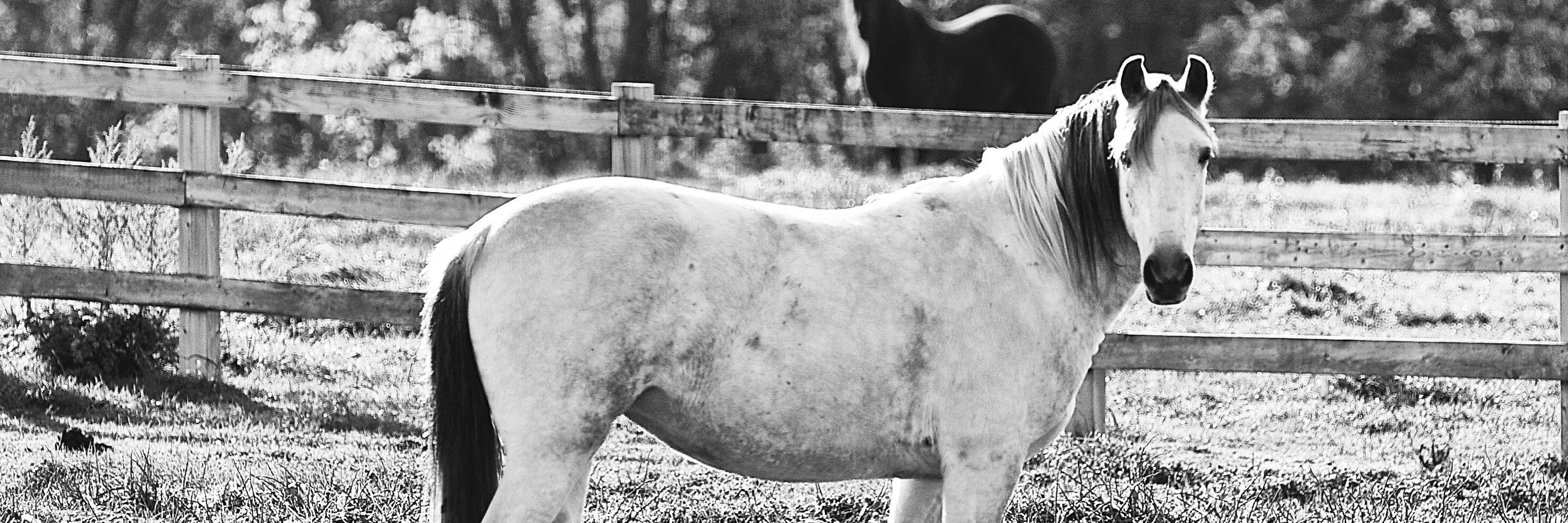Sandberg_Max's profile banner image