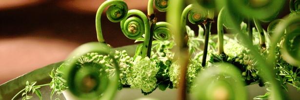 アクタレザムライ banner