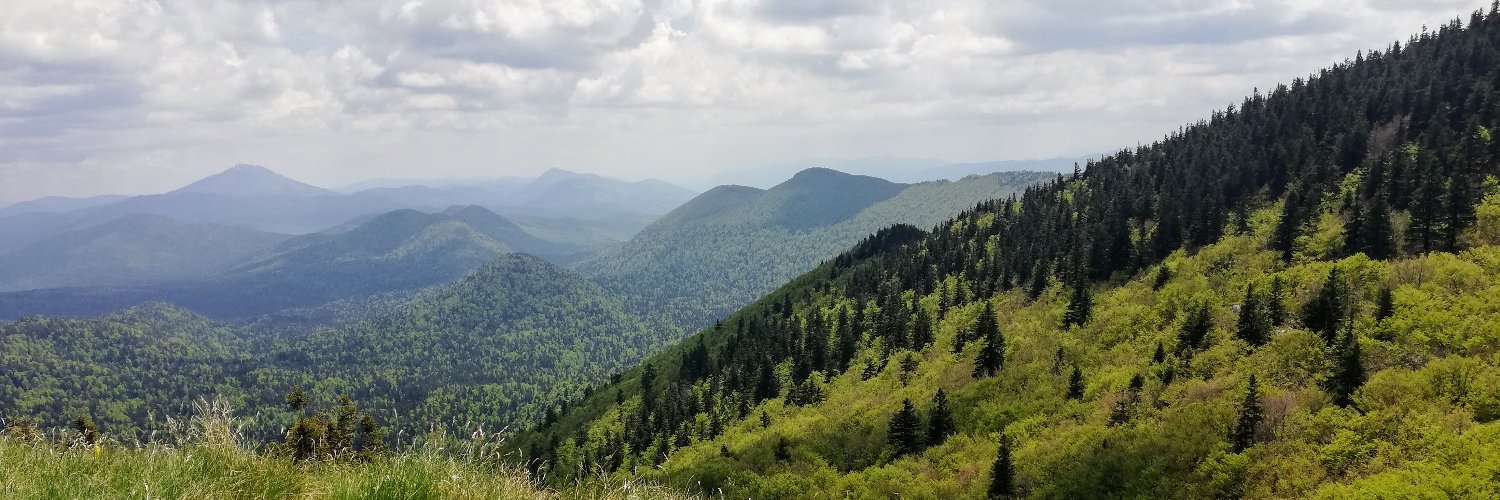 Tijana Karić banner