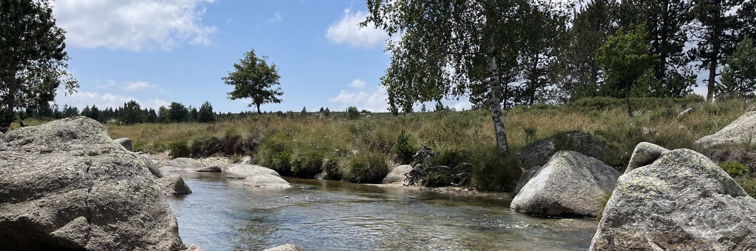 Coralie Dubost banner