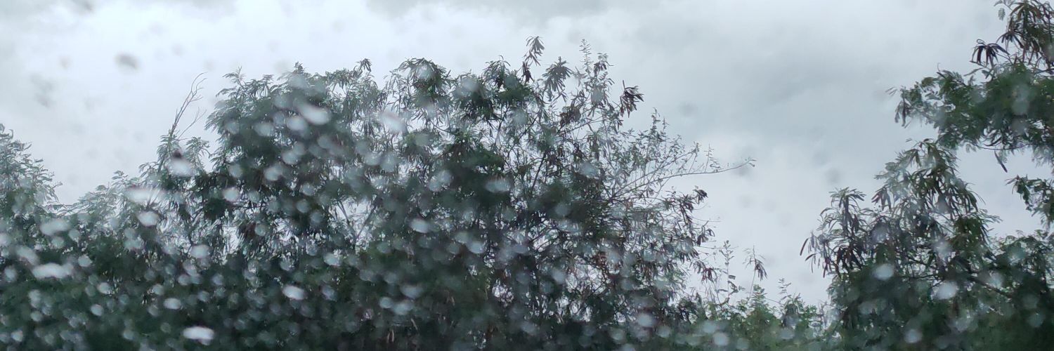 ploykunkaew's profile banner image