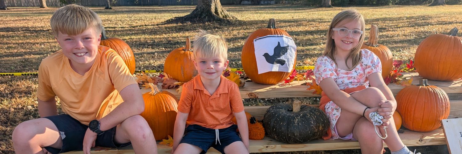AlxWebb's profile banner image