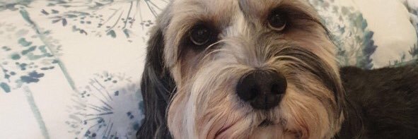 itsdaisydutton's profile banner image