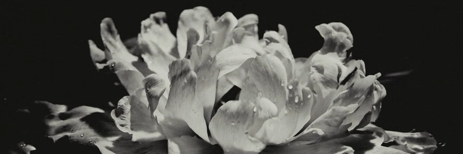 isengrymm's profile banner image