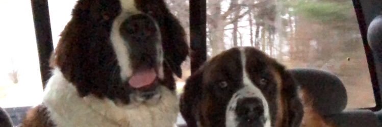 DrewWenger4's profile banner image