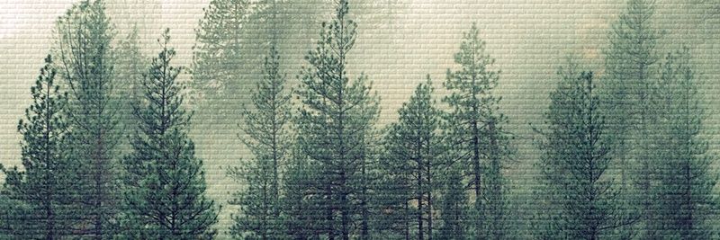 Ballrockhunter's profile banner image