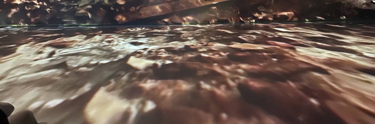 ririchameleonn's profile banner image