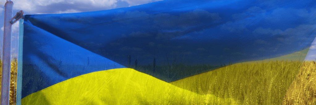 BlueFish 💙💛 banner