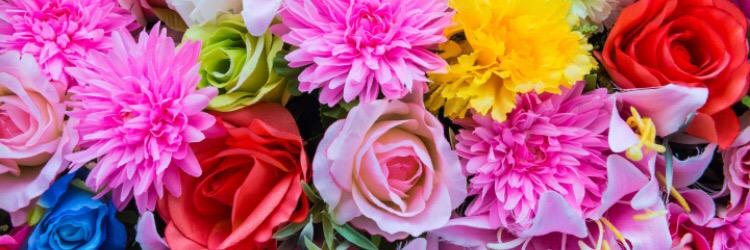 serena_H_x's profile banner image