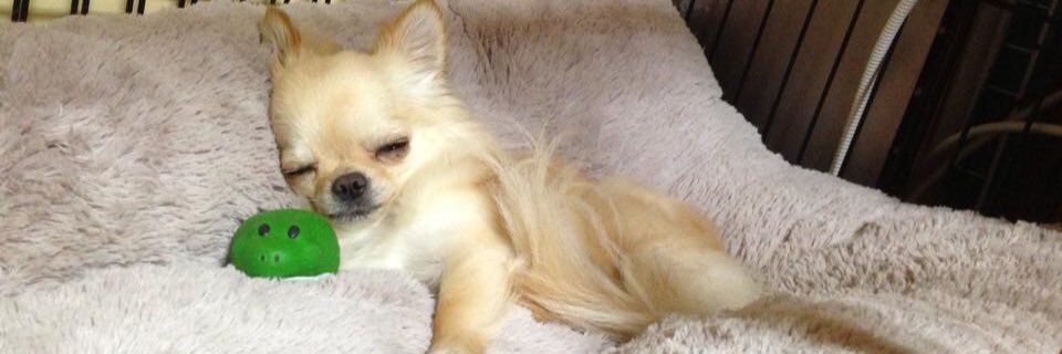 4XLRInO3FUSrmOA's profile banner image