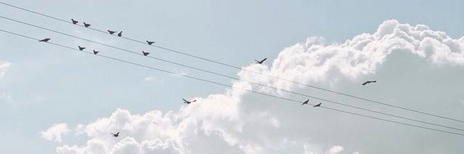 alwayswithkms's profile banner image
