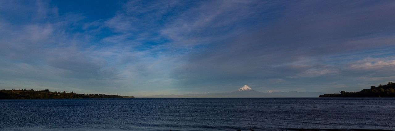 Ximena Venegas B. banner