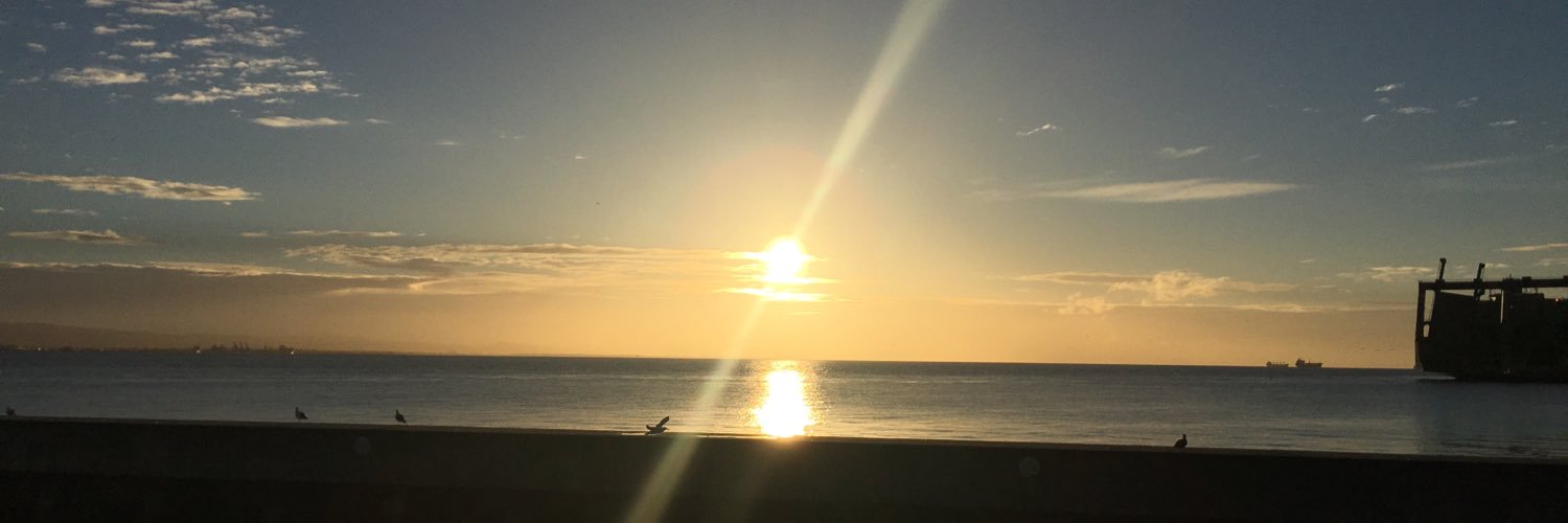 Walz0n's profile banner image