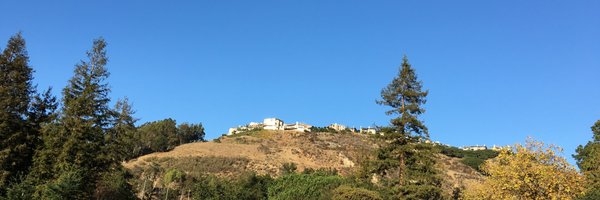 boshigao2016 Profile Banner