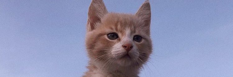 trrn_minmin69's profile banner image