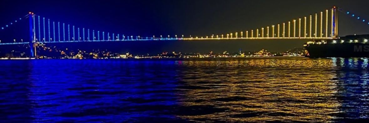 bosveerrdim's profile banner image