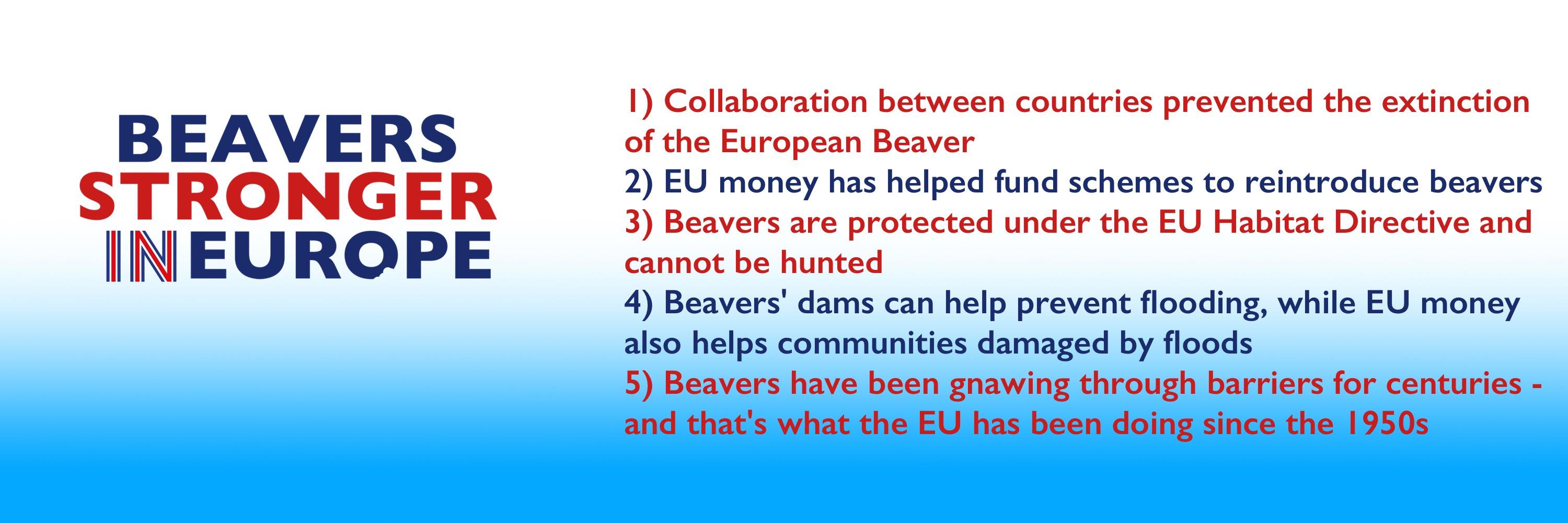 Beaver_IN_EU's profile banner image