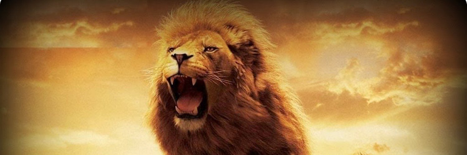 AbdullahWardak's profile banner image