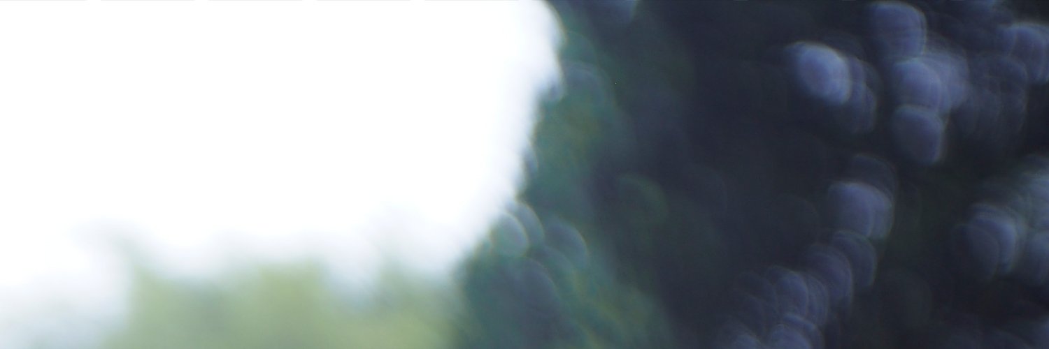 arahkanan_'s profile banner image