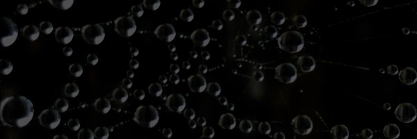 Shafiq_Ahmed Profile Banner