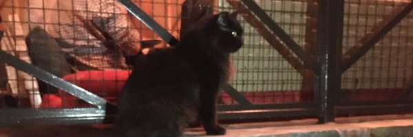 mame6432 Profile Banner