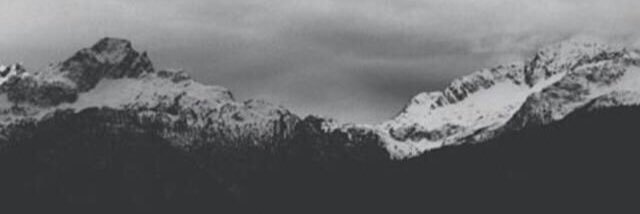 ahoho12331's profile banner image
