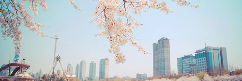 juliastulpen_'s profile banner image