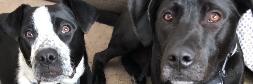 carleyvrable's profile banner image