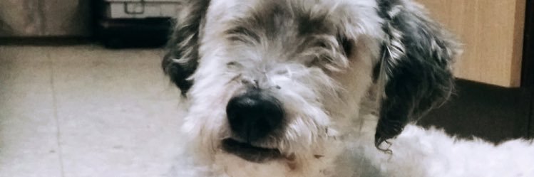 nereaROMAN8's profile banner image