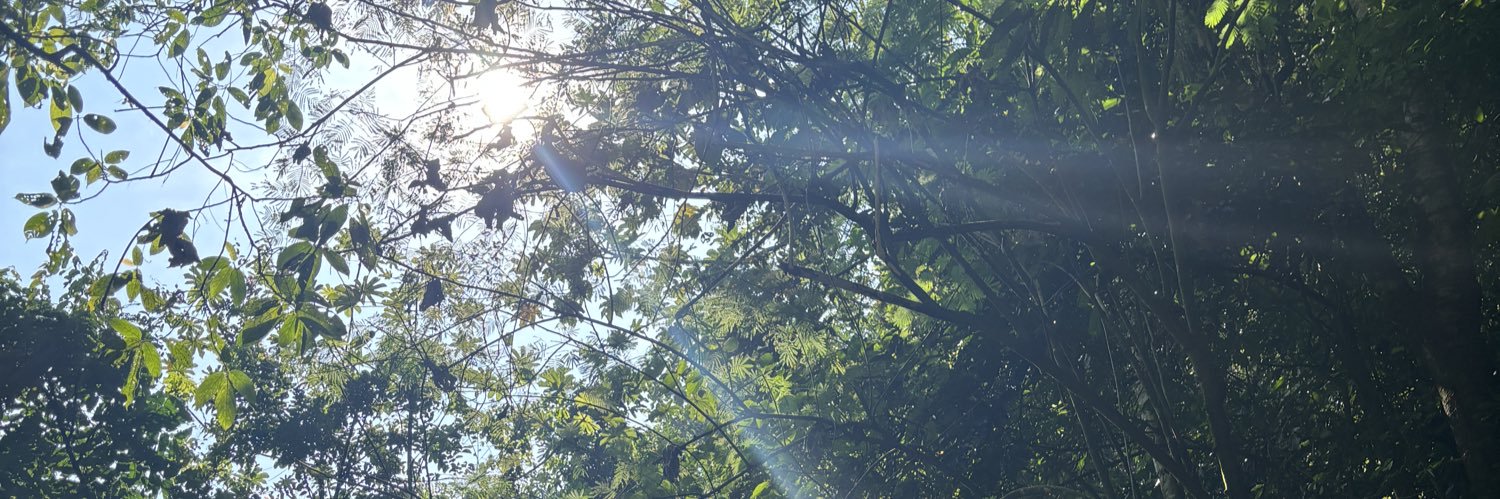 rainaraissa's profile banner image