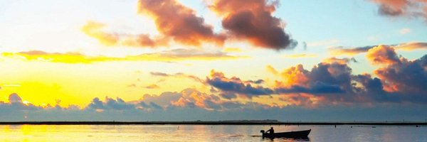liu_yng Profile Banner