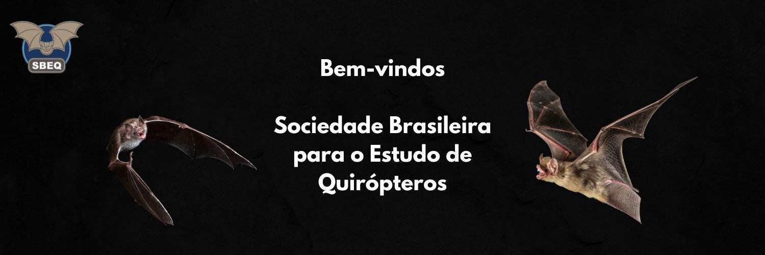 sbeq's profile banner image