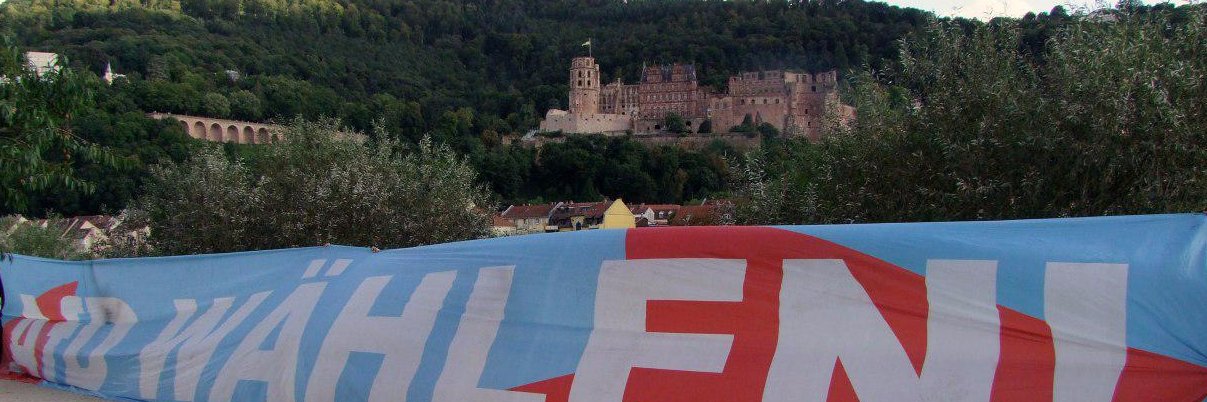 AfD Heidelberg banner