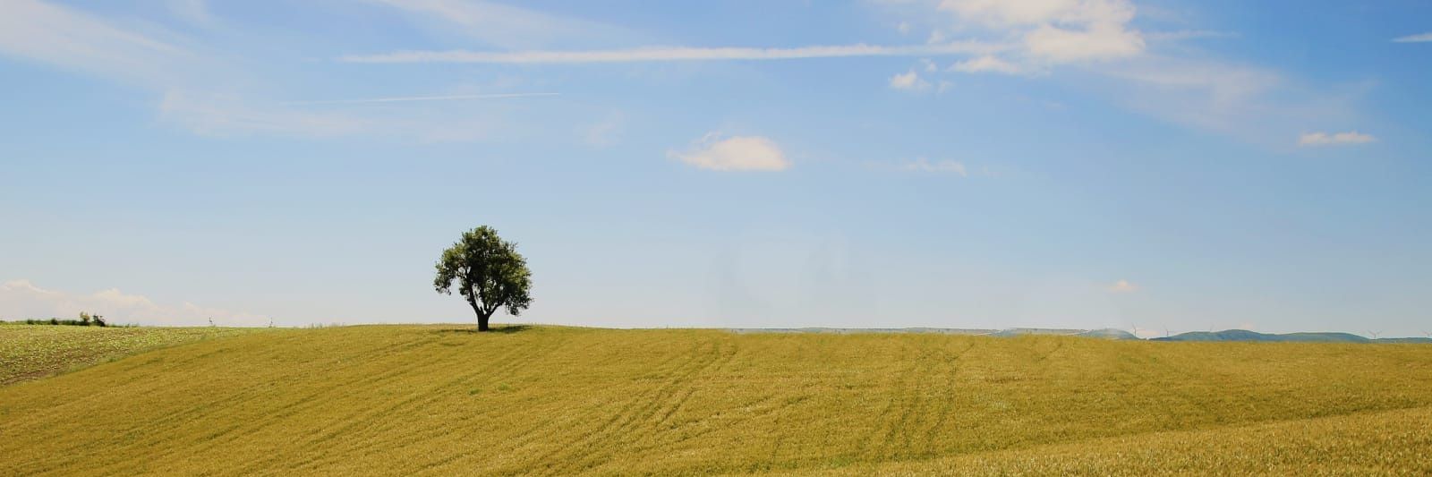 M. Hasan Arşit 🇹🇷 banner