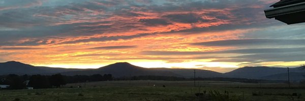 joe_devildog Profile Banner