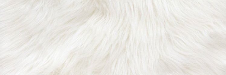 elassfazem's profile banner image