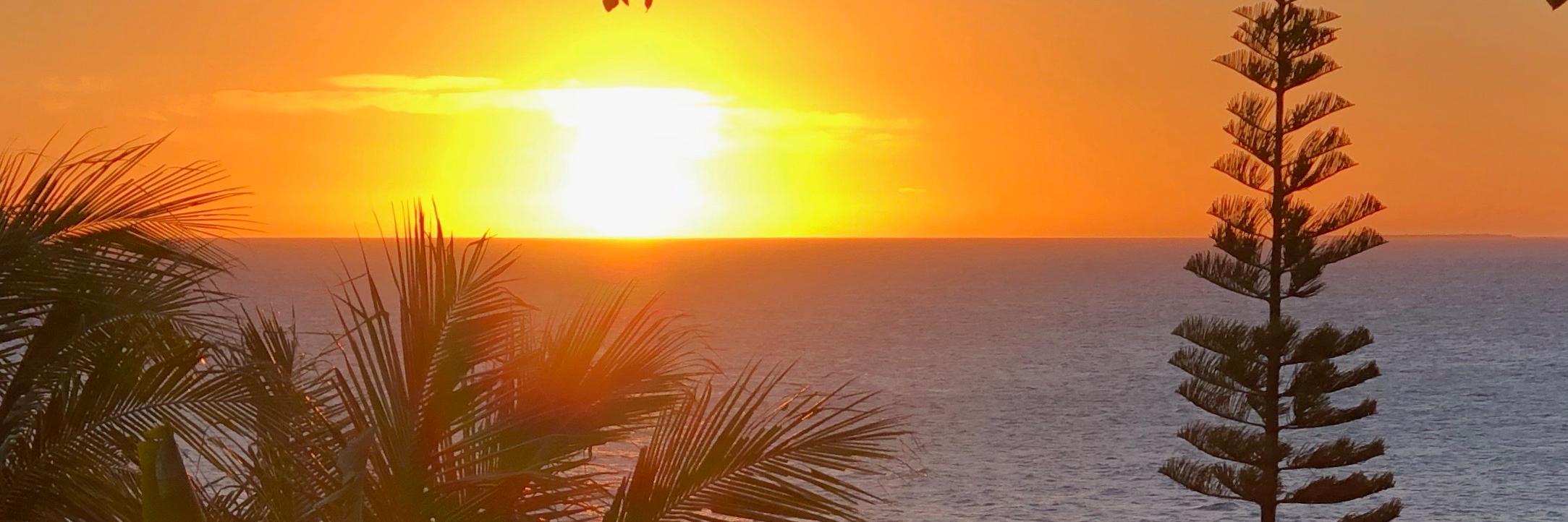 Hamish Stevenson banner