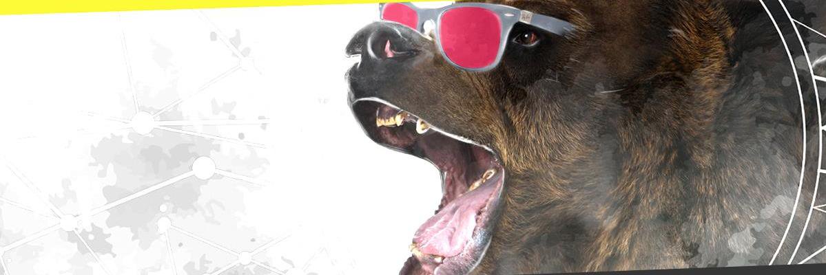 ideanova_agency's profile banner image