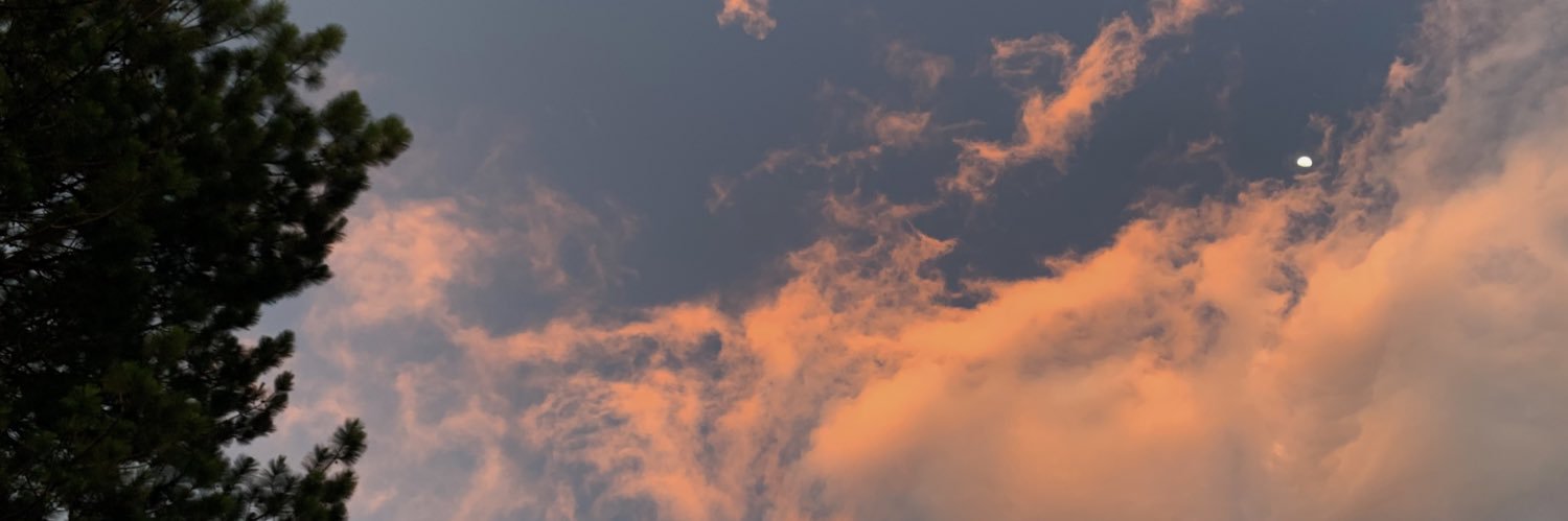 luisgusbar's profile banner image