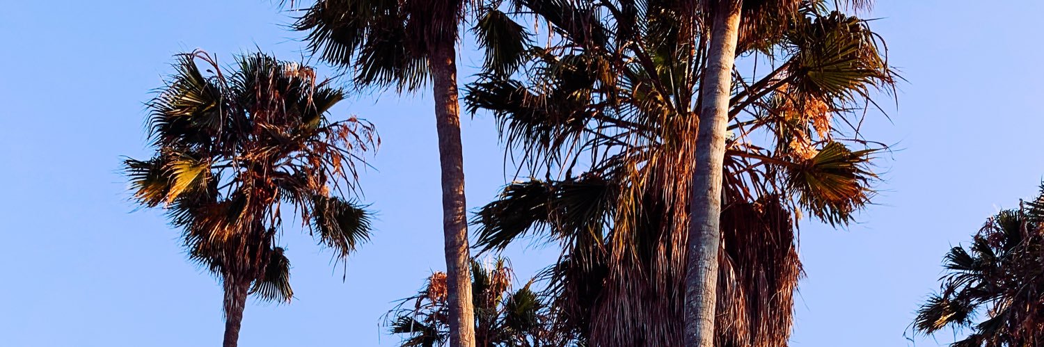 MercedeLarson's profile banner image