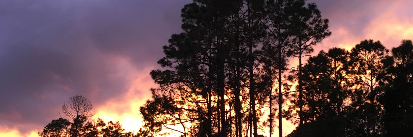 NancyNally's profile banner image