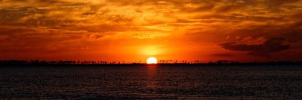 jackie_jarrell's profile banner image