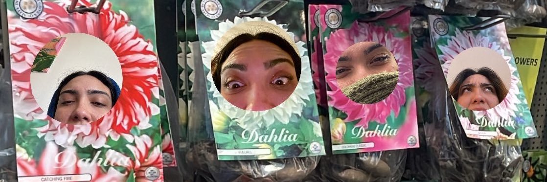 dxhlia's profile banner image