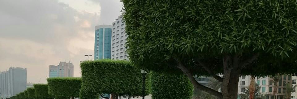 uchaardhani's profile banner image