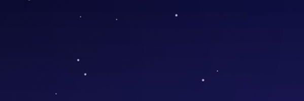 Alicia Ambrosoli banner