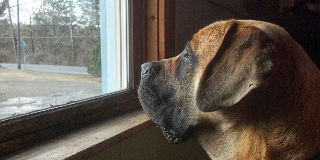 JessiBearden's profile banner image